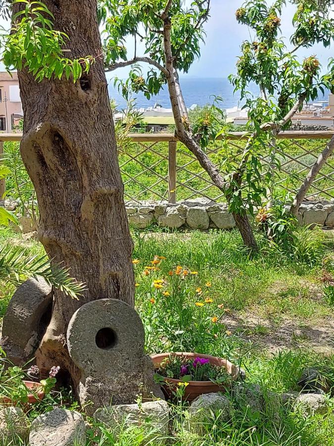 Forio di Ischia Villa Symphony Sea View מראה חיצוני תמונה