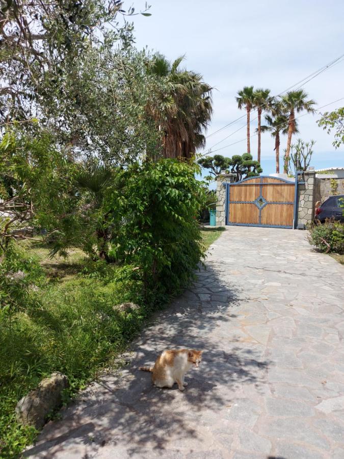 Forio di Ischia Villa Symphony Sea View מראה חיצוני תמונה
