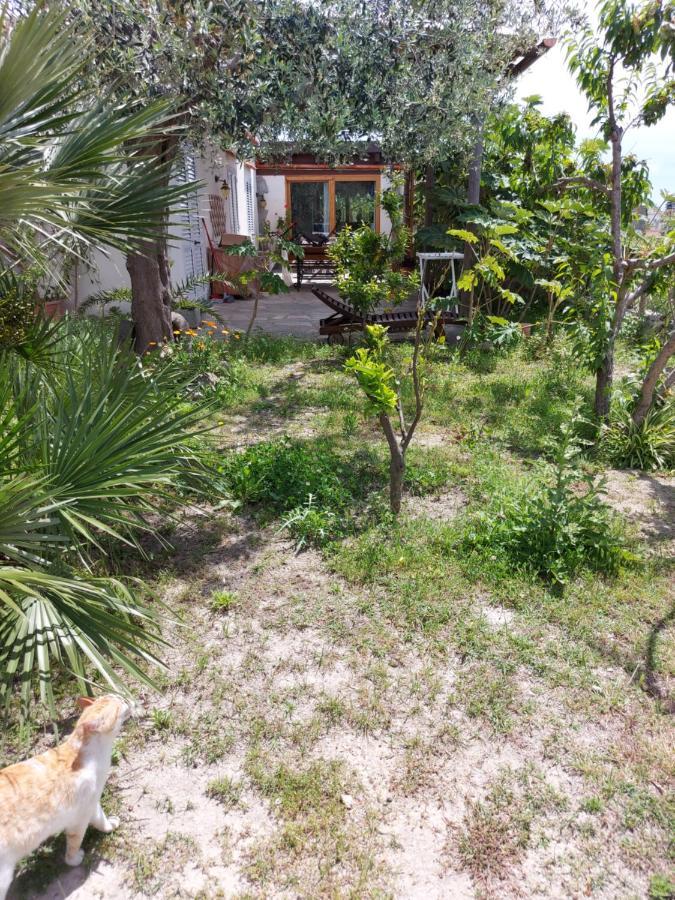 Forio di Ischia Villa Symphony Sea View מראה חיצוני תמונה