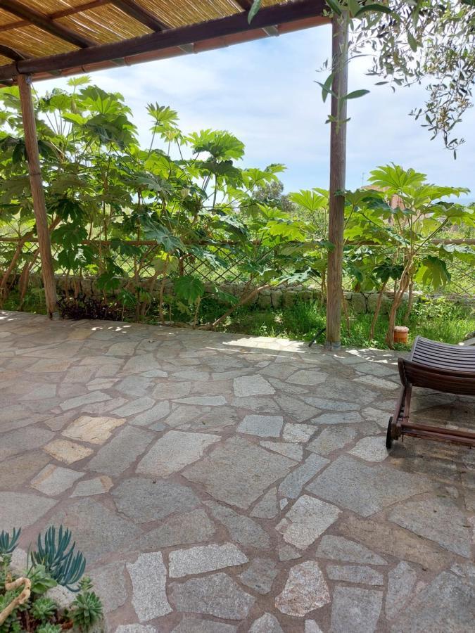 Forio di Ischia Villa Symphony Sea View מראה חיצוני תמונה