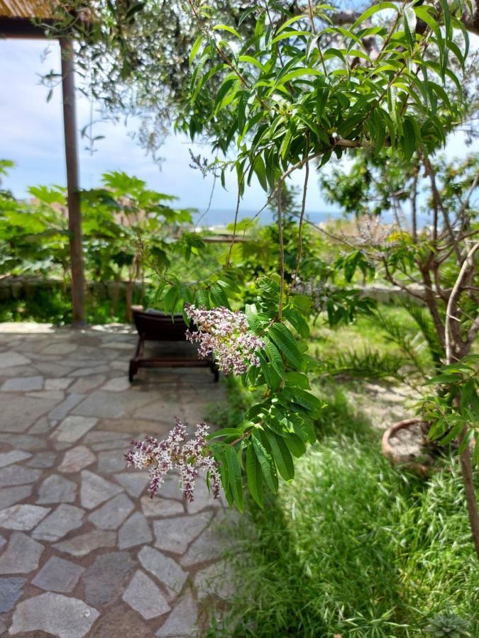Forio di Ischia Villa Symphony Sea View מראה חיצוני תמונה