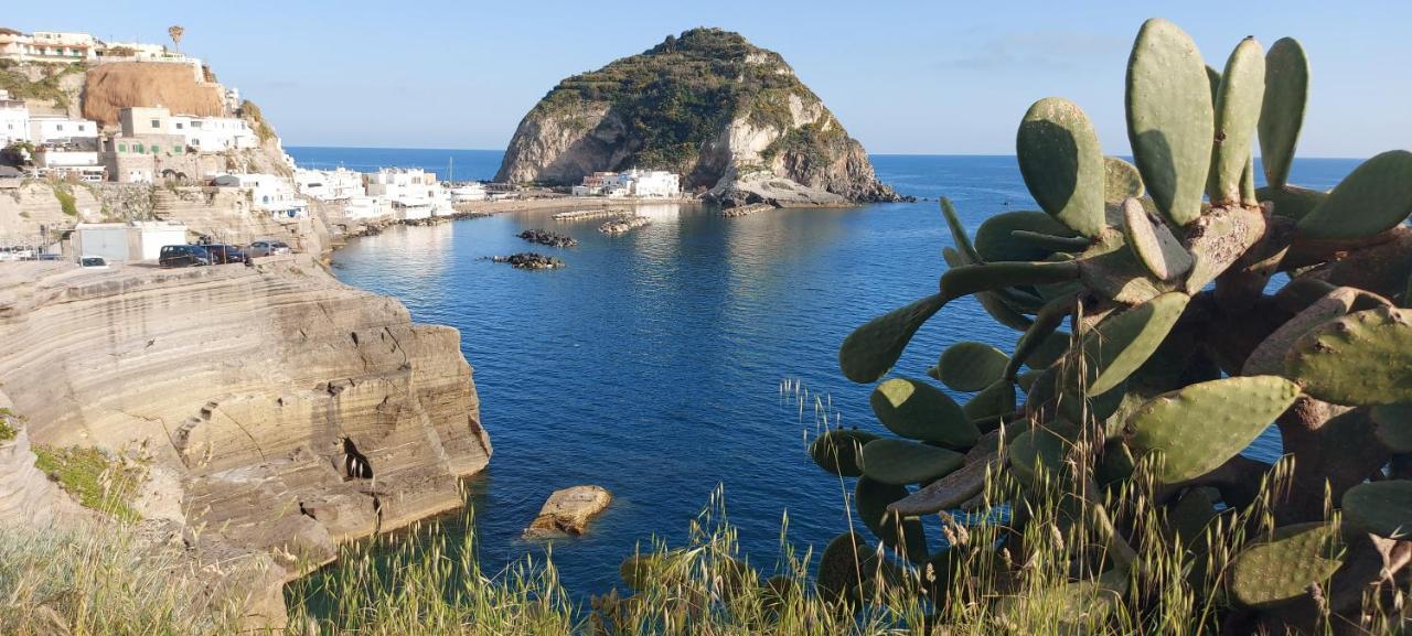 Forio di Ischia Villa Symphony Sea View מראה חיצוני תמונה