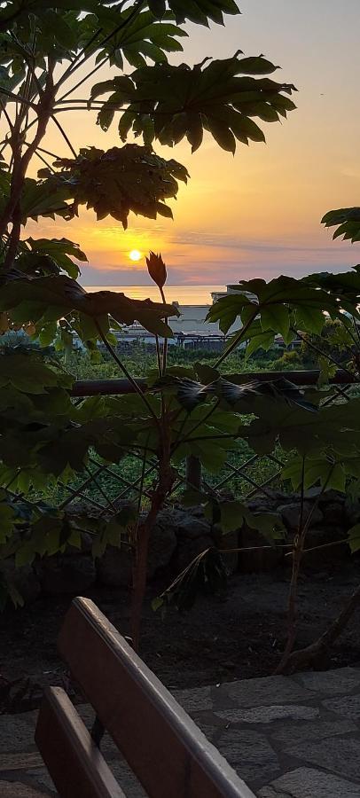 Forio di Ischia Villa Symphony Sea View מראה חיצוני תמונה