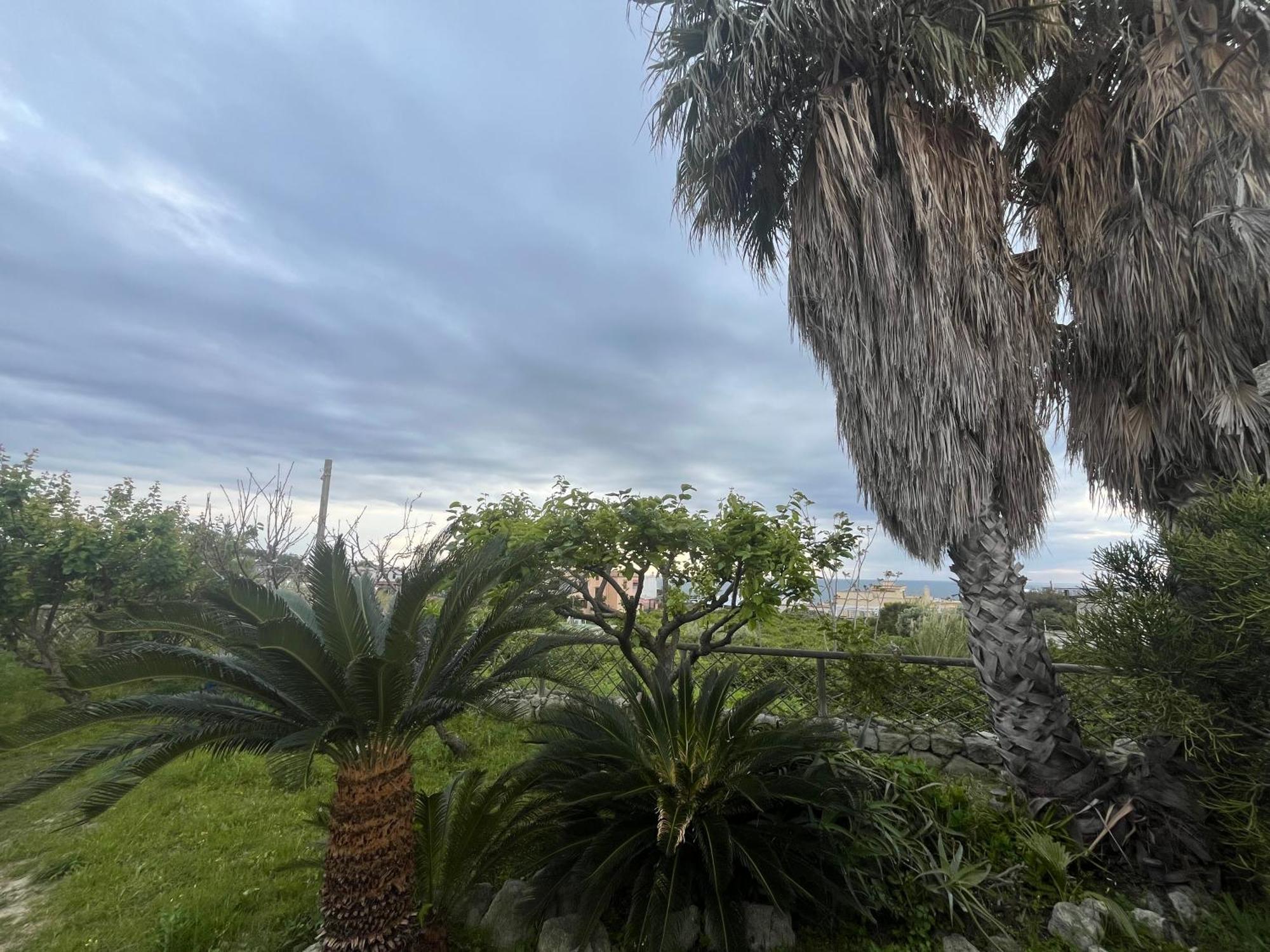 Forio di Ischia Villa Symphony Sea View מראה חיצוני תמונה