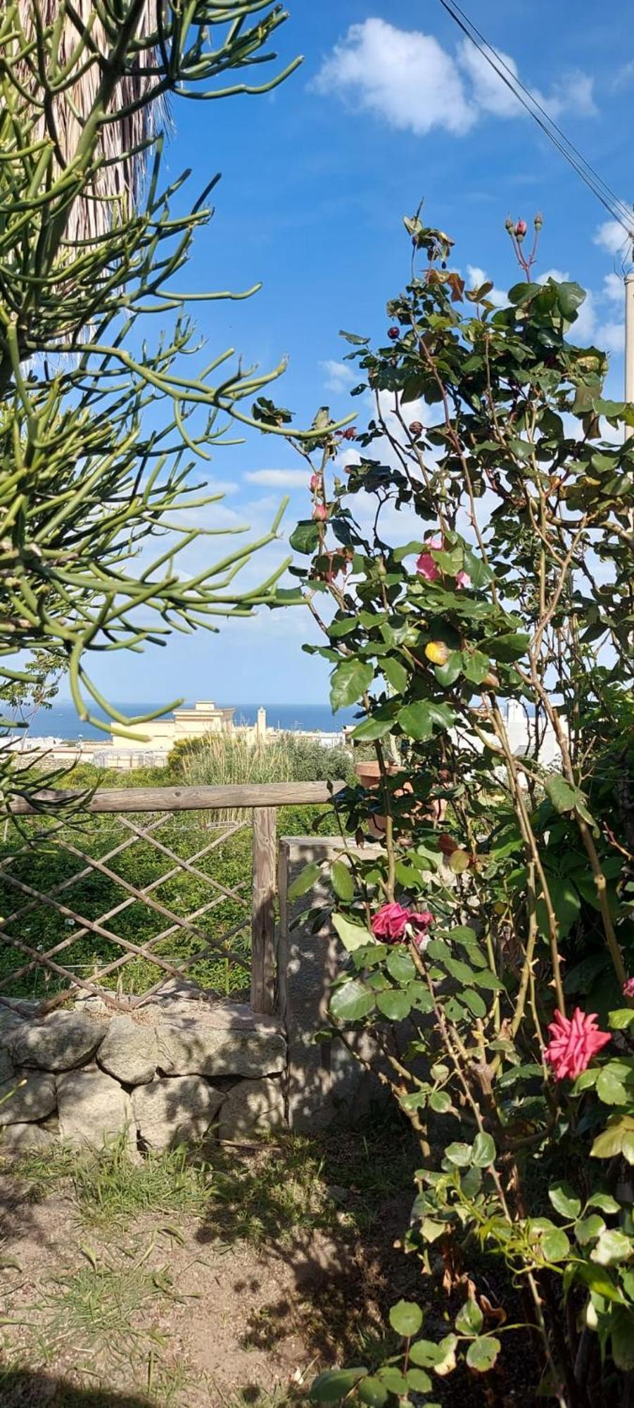 Forio di Ischia Villa Symphony Sea View מראה חיצוני תמונה