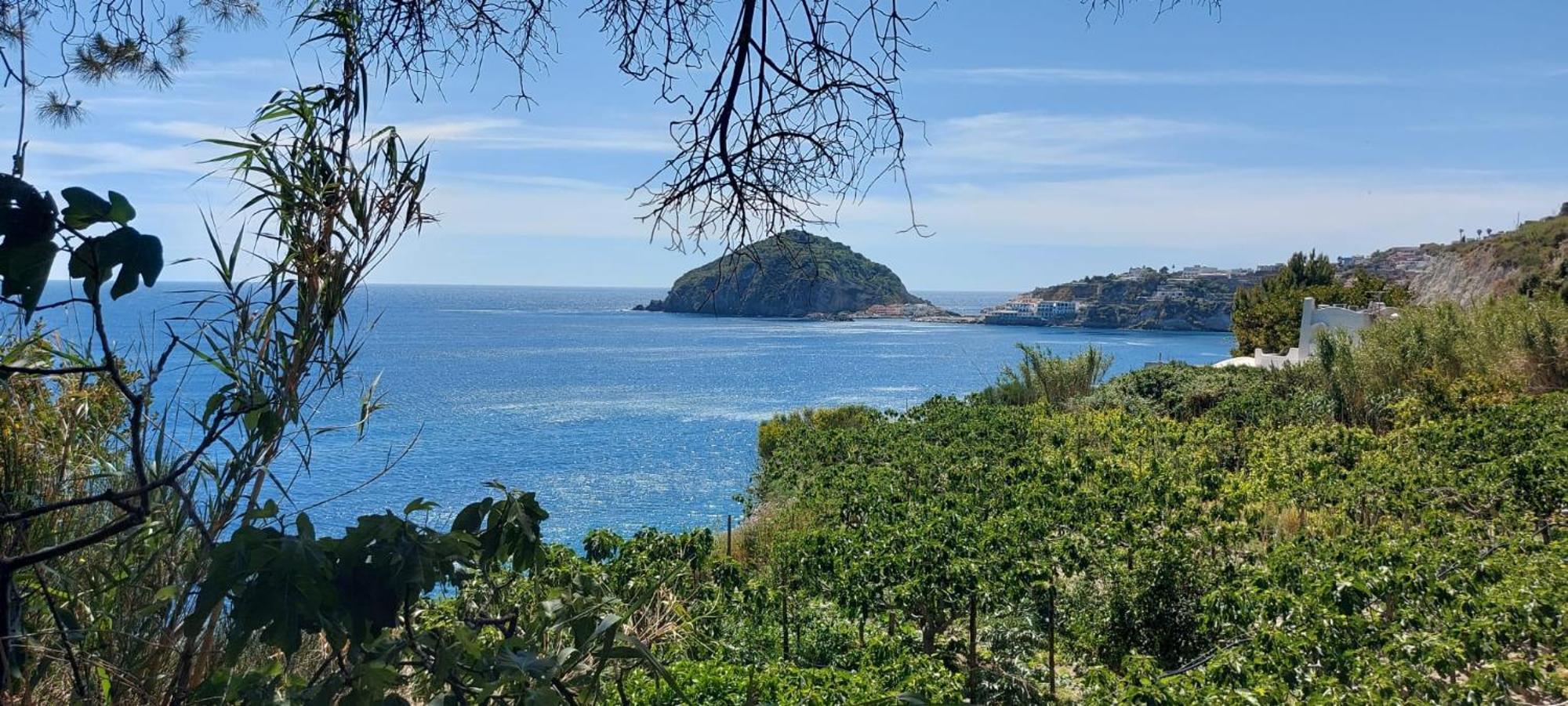 Forio di Ischia Villa Symphony Sea View מראה חיצוני תמונה