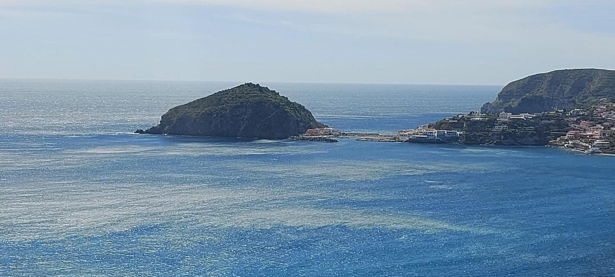 Forio di Ischia Villa Symphony Sea View מראה חיצוני תמונה