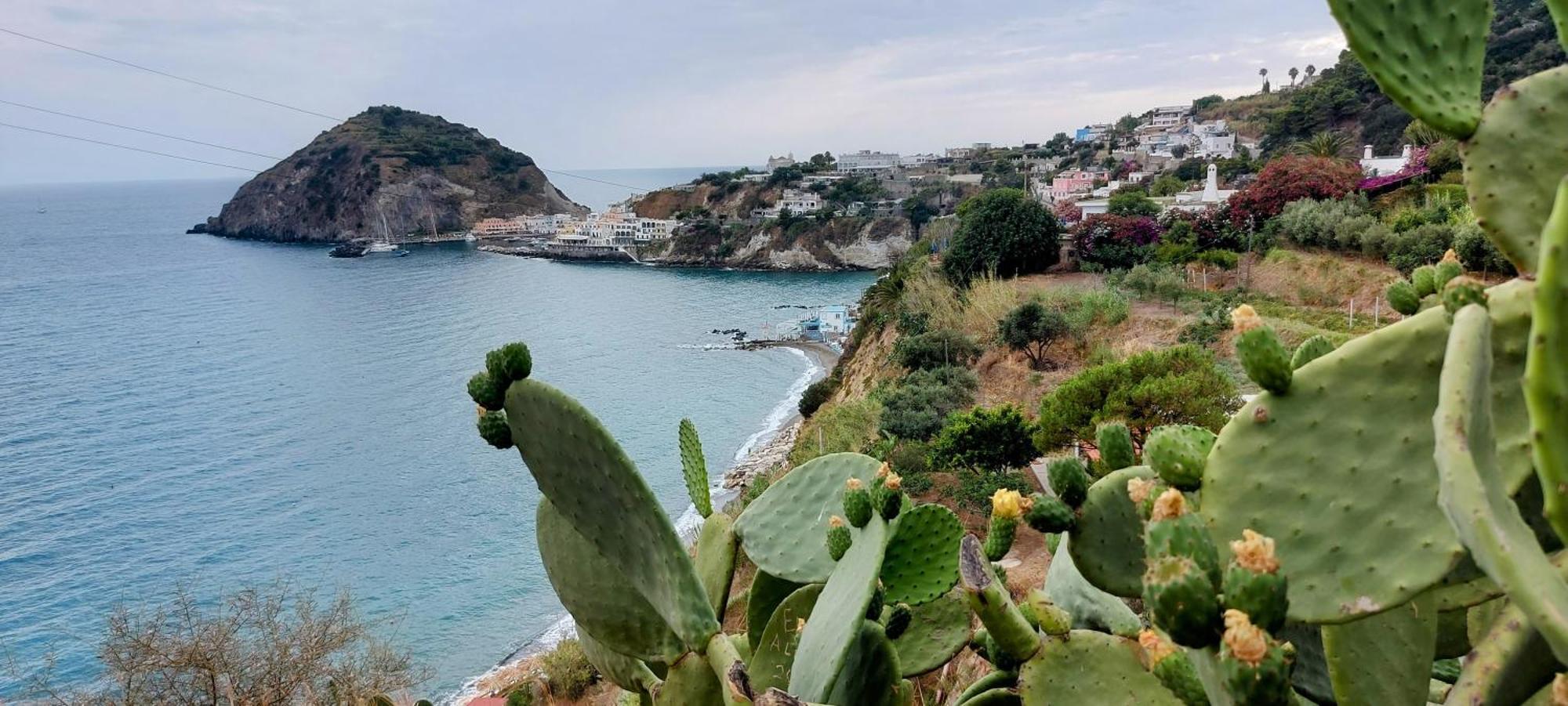 Forio di Ischia Villa Symphony Sea View מראה חיצוני תמונה
